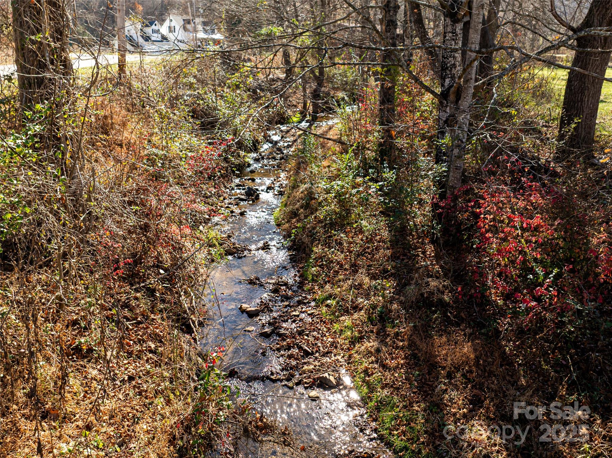 55 Morgan Road Weaverville, NC 28787 - Photo 47 of 48