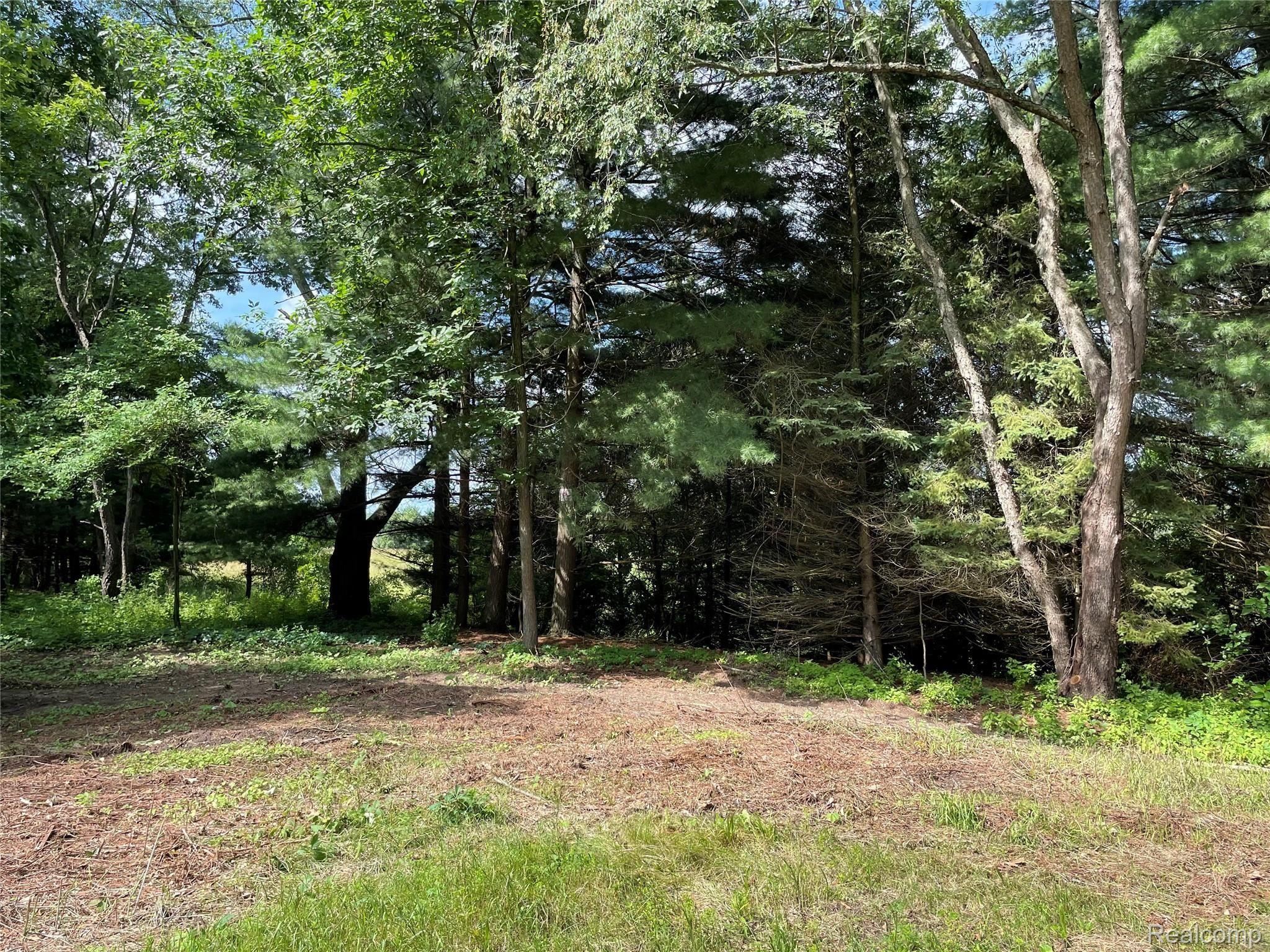 7045 Colonial Way Howell, MI 48855 - Photo 17 of 17 IMG_5936.jpg