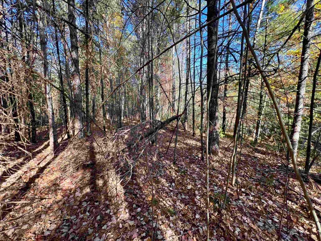 $49,900 | Right Of Way Road, Pembine, WI 54156