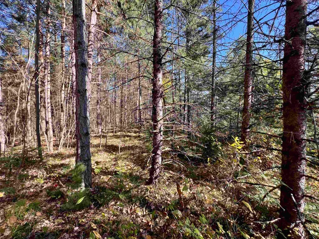 $49,900 | Right Of Way Road, Pembine, WI 54156