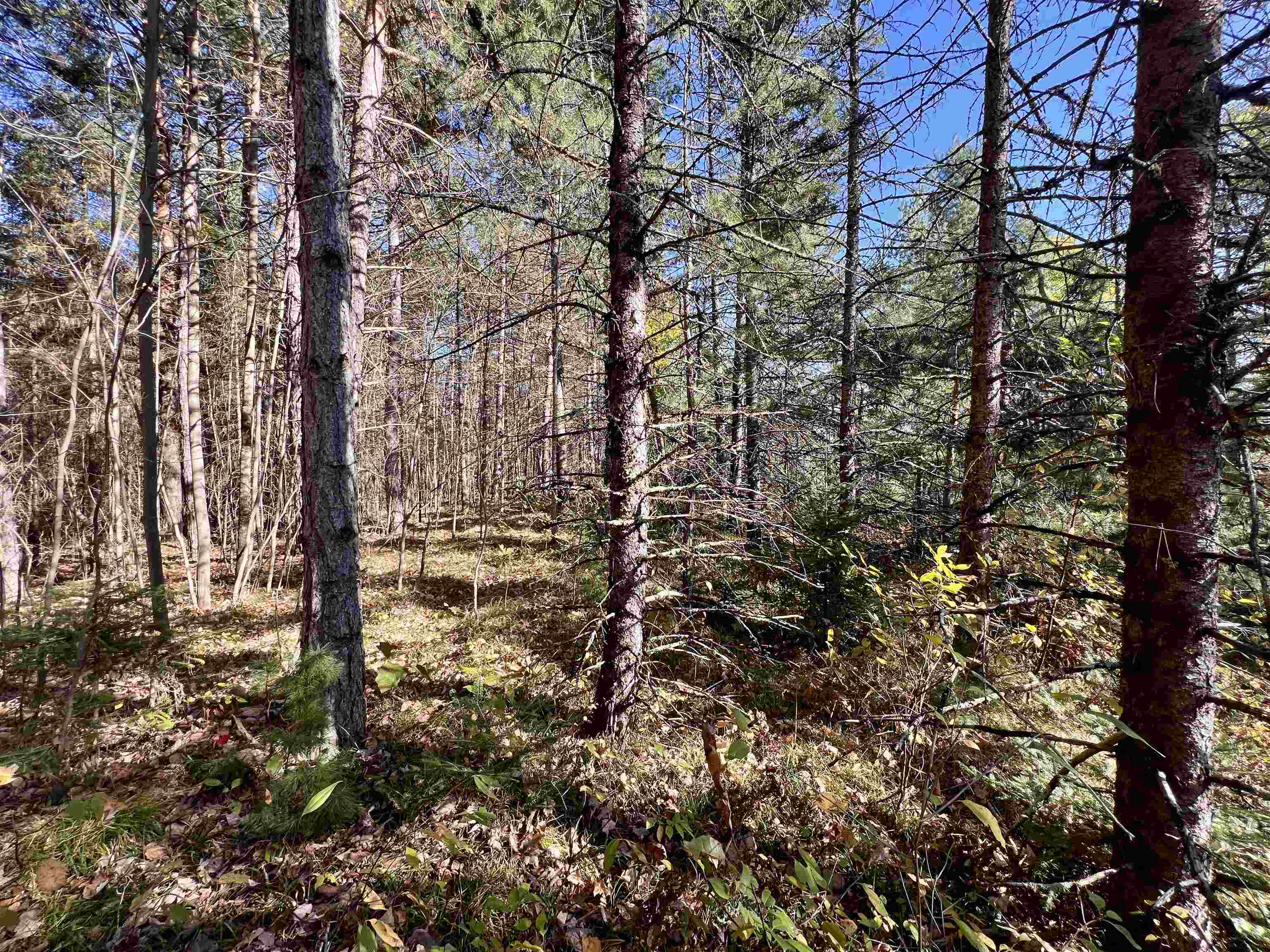 Right Of Way Road Pembine, WI 54156 - Photo 4 of 6