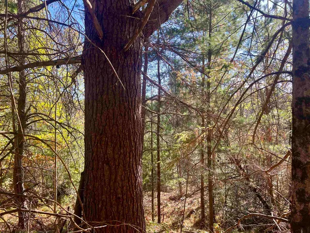 $49,900 | Right Of Way Road, Pembine, WI 54156