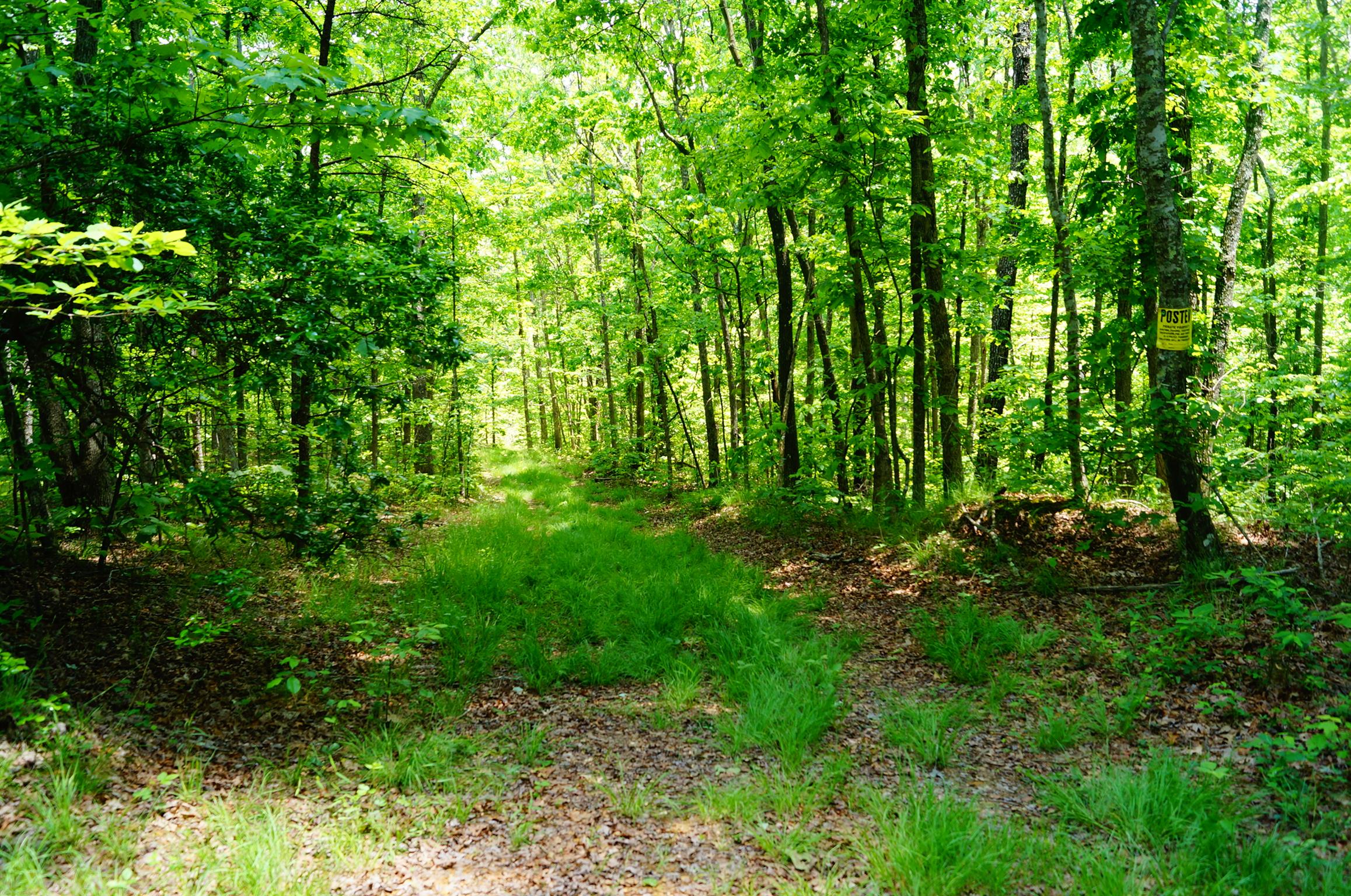 1 Hendon Road Graysville, TN 37338 - Photo 22 of 30 Gallery Image 22