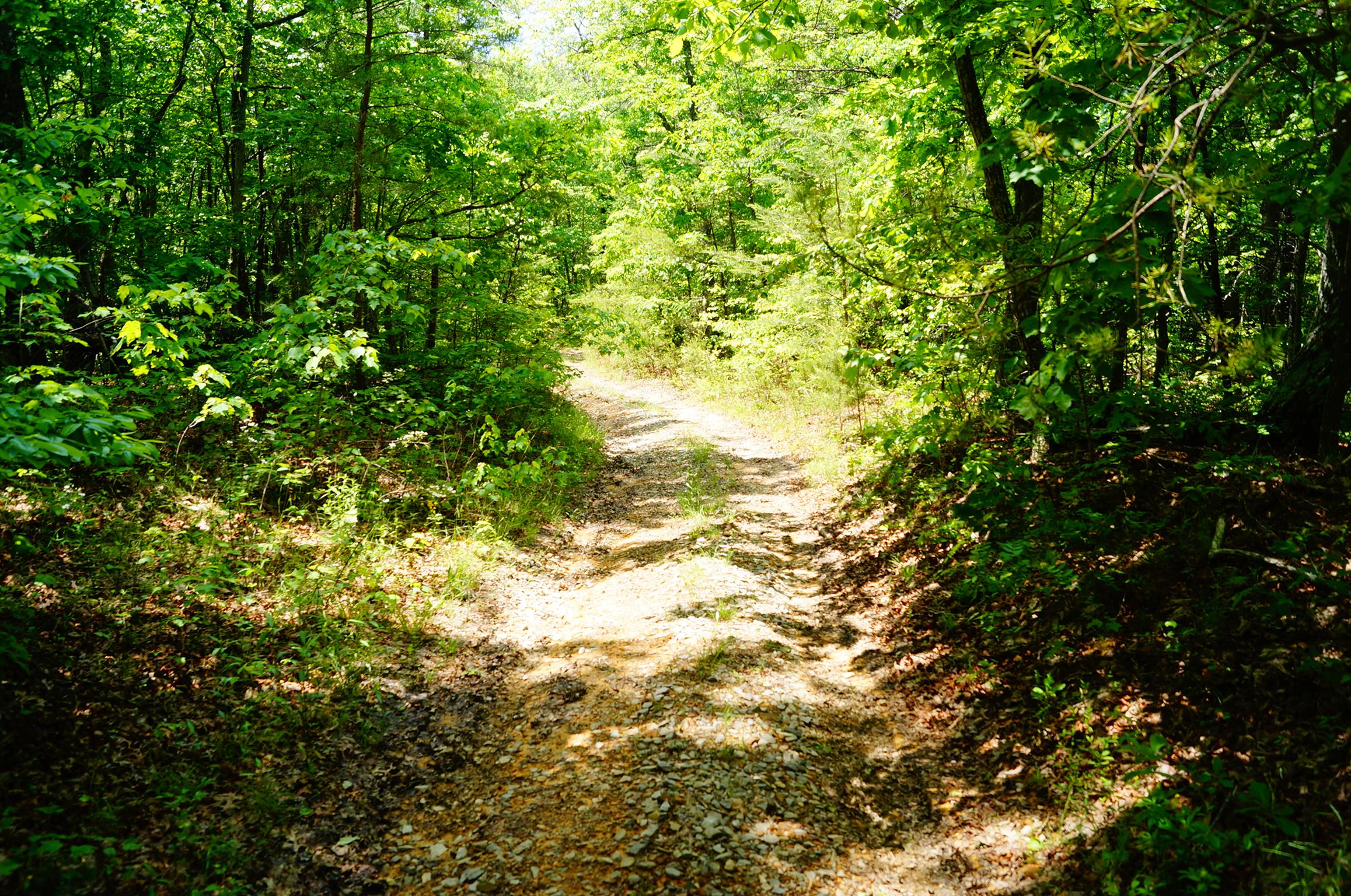 1 Hendon Road Graysville, TN 37338 - Photo 23 of 30 Gallery Image 23