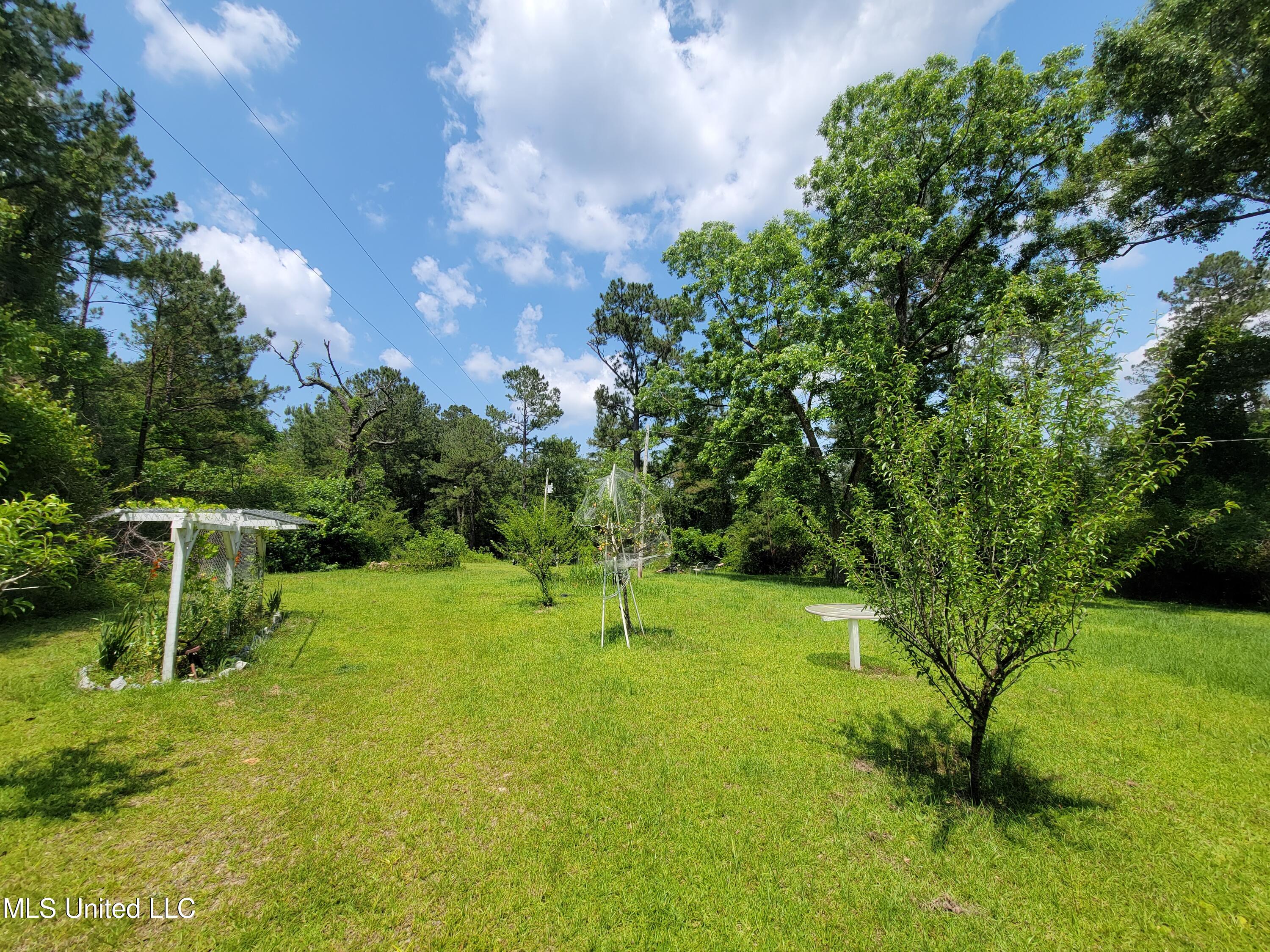 15 Big Earl Road Wiggins, MS 39577 - Photo 14 of 17 20220518_142214
