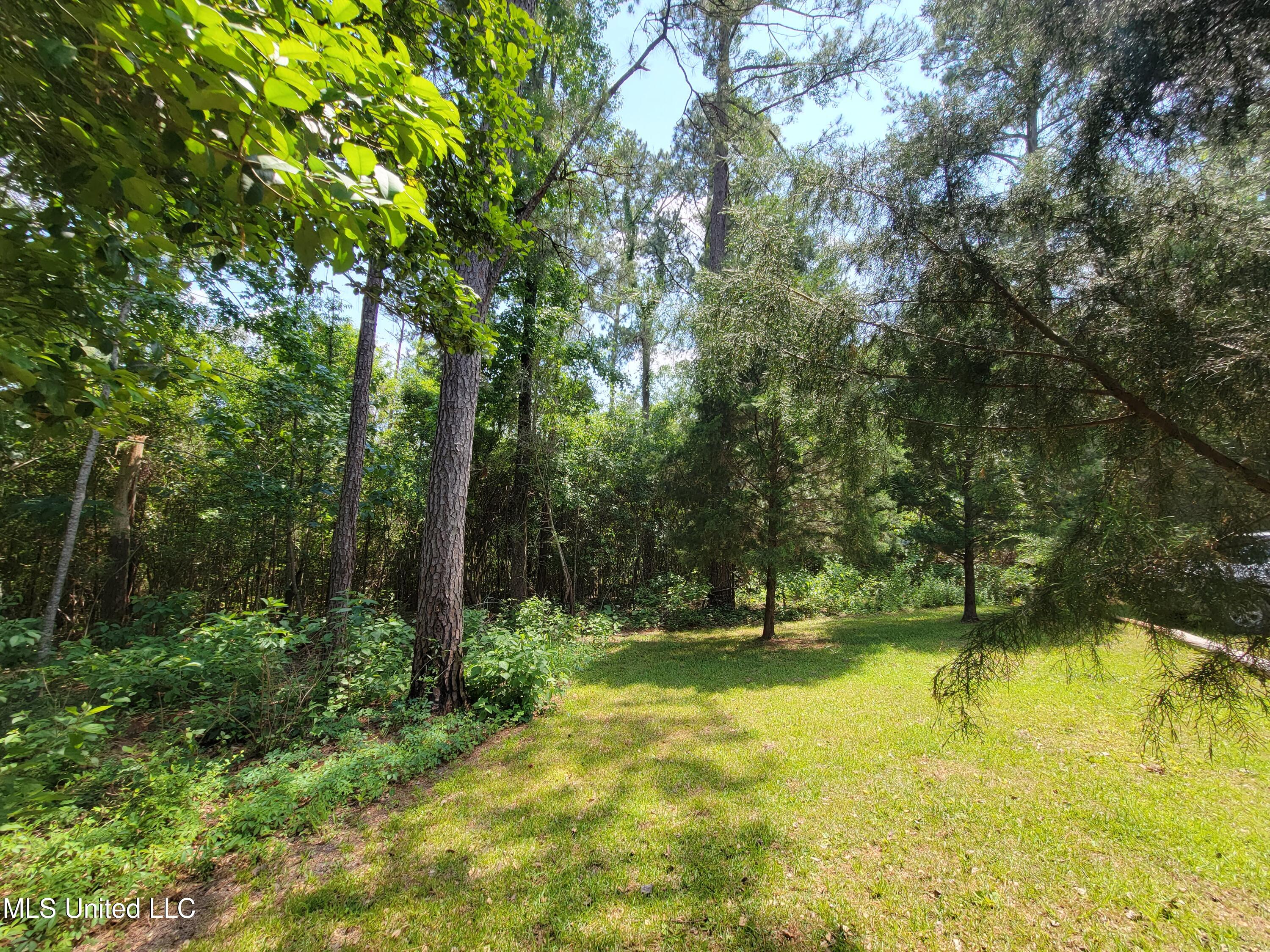 15 Big Earl Road Wiggins, MS 39577 - Photo 15 of 17 20220518_142334