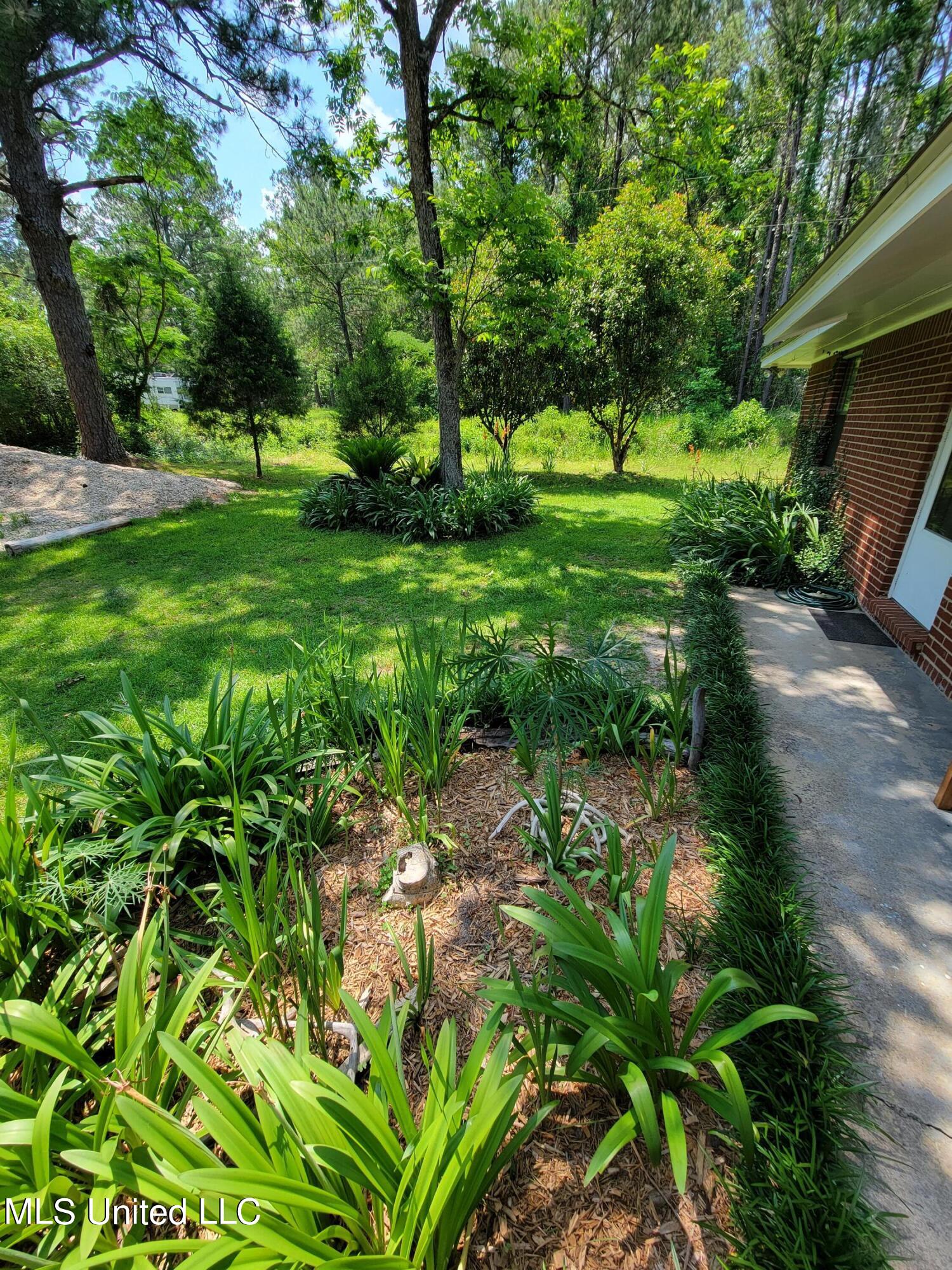 15 Big Earl Road Wiggins, MS 39577 - Photo 5 of 17 20220518_142723