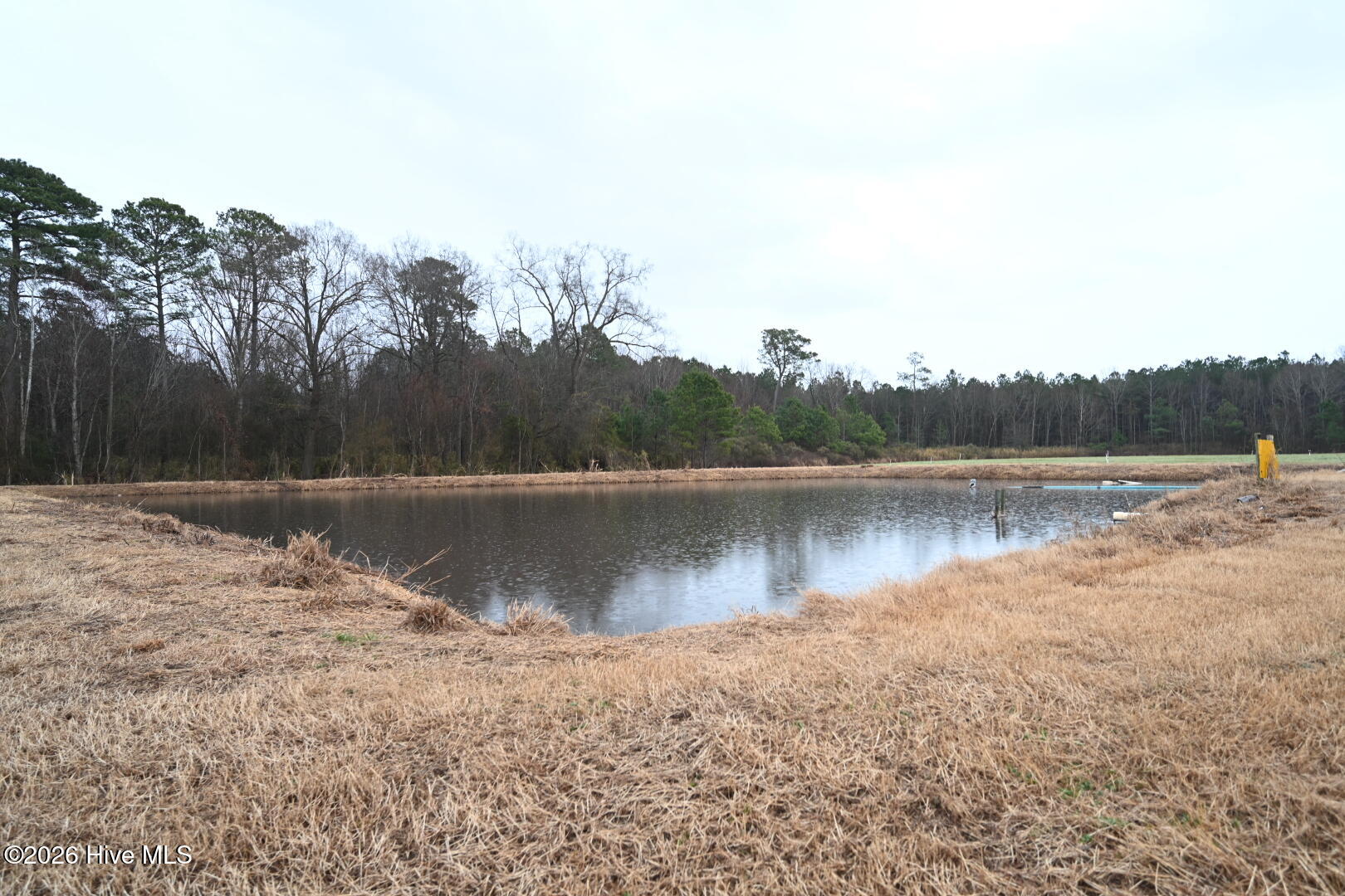 1535 Maul Swamp Road Vanceboro, NC 28586 - Photo 26 of 45 DSC_1468