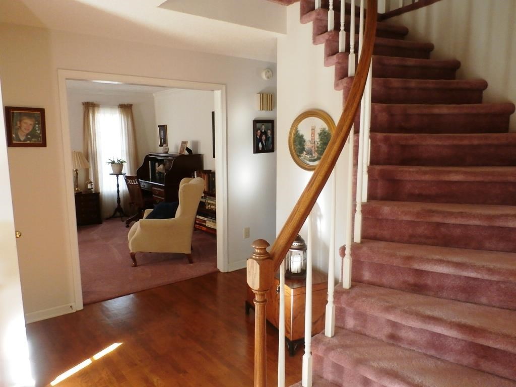 205 Prince Ranier Drive Clemson, SC 29631 - Photo 7 of 25 Gallery Image 7