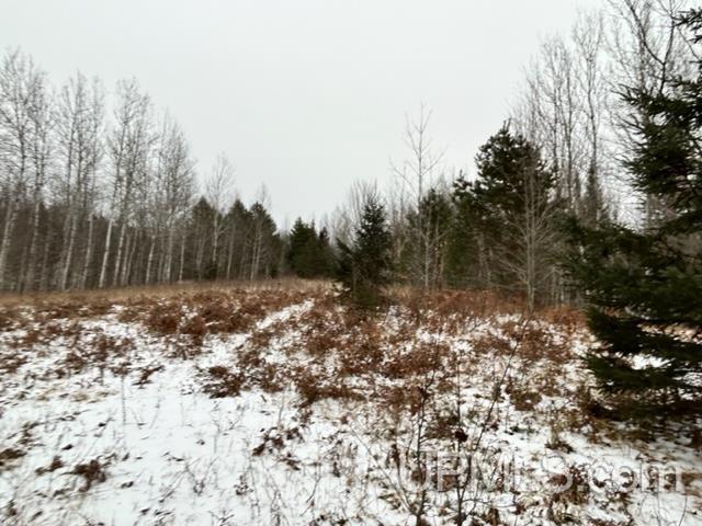 Tbd5 Larson Road Atlantic Mine, MI 49905 - Photo 3 of 56 Gallery Image 3