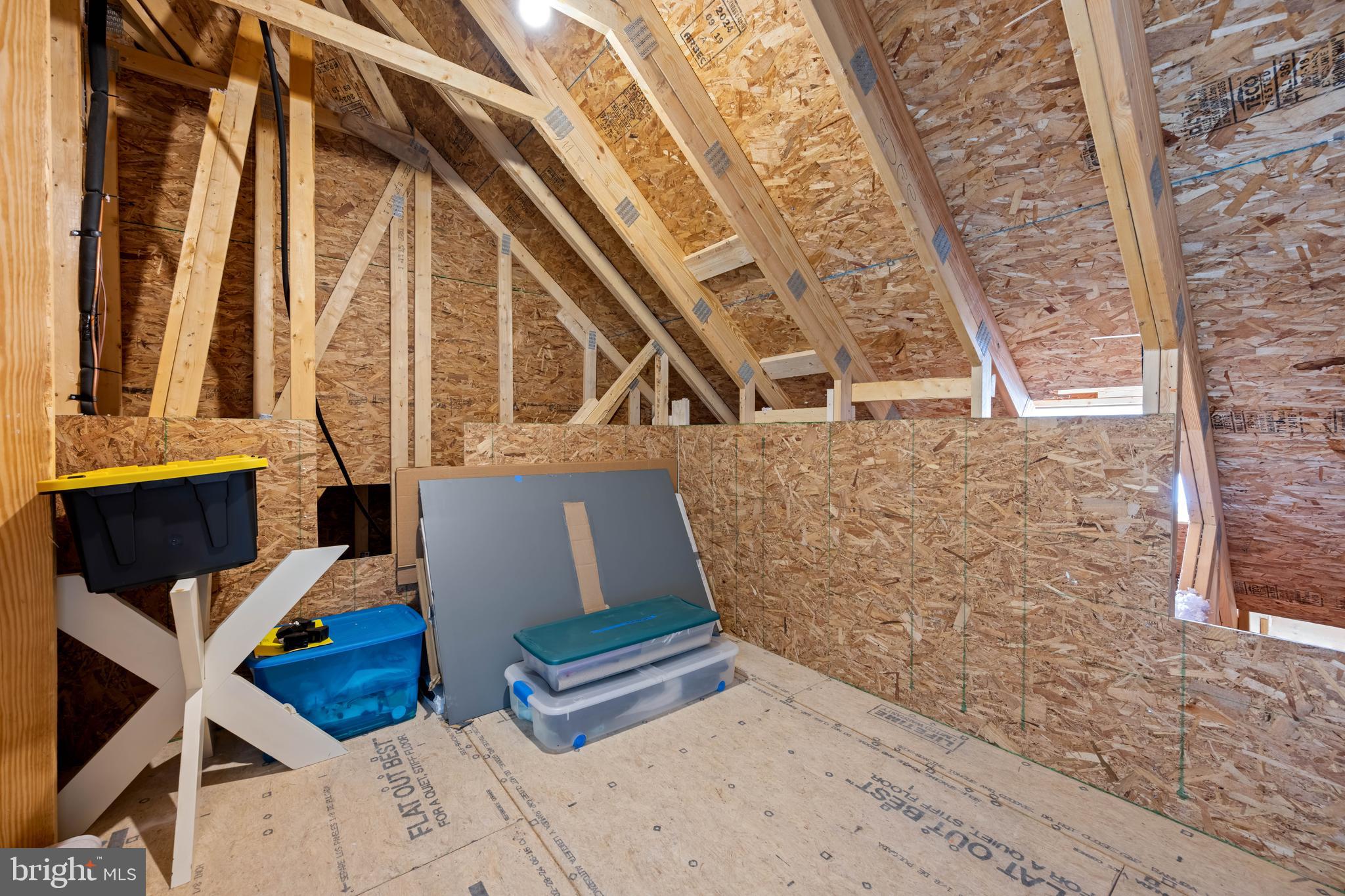 25304 Razorbill Court Millsboro, DE 19966 - Photo 22 of 45 Walk in Attic