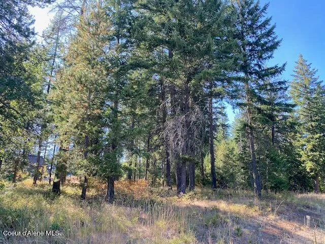 $375,000 | L4-b10 North Walden Loop, Rathdrum, ID 83858