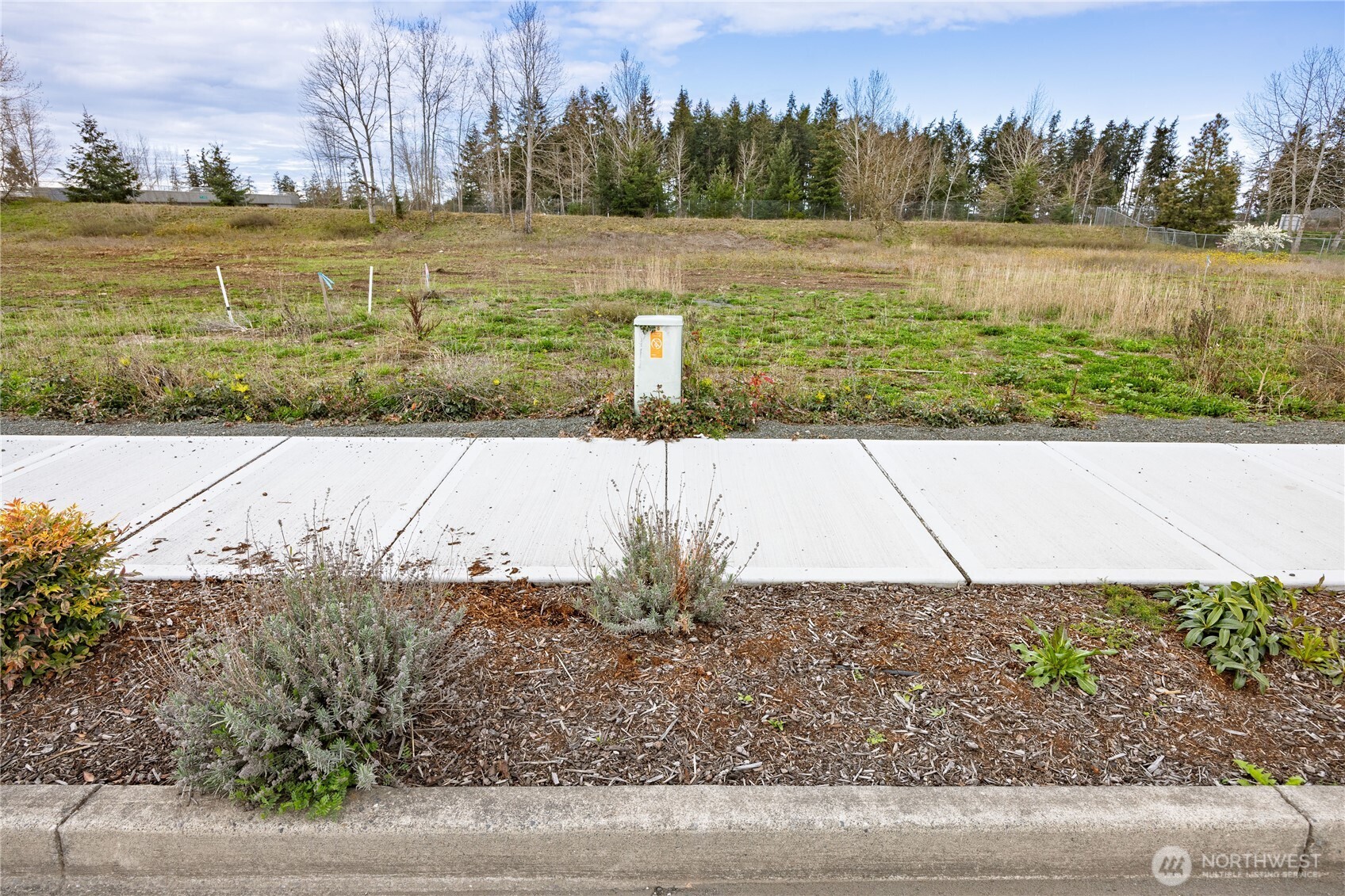 660 McCurdy Road Sequim, WA 98382 - Photo 19 of 22 a view of a lake with a yard and large trees