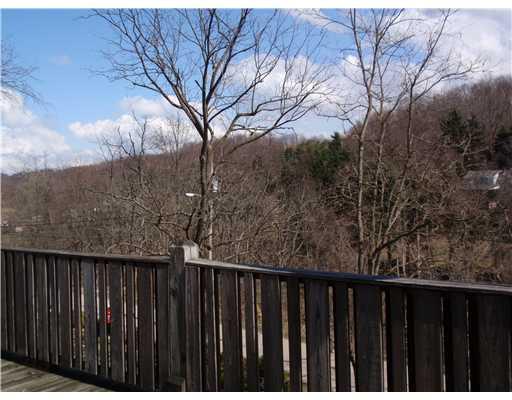 255 Limerick Road Herminie, PA 15637 - Photo 6 of 6 View. The views from the deck are incredible!