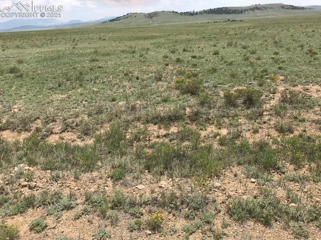 1375 Rio Blanco Road Hartsel, CO 80449 - Photo 5 of 12