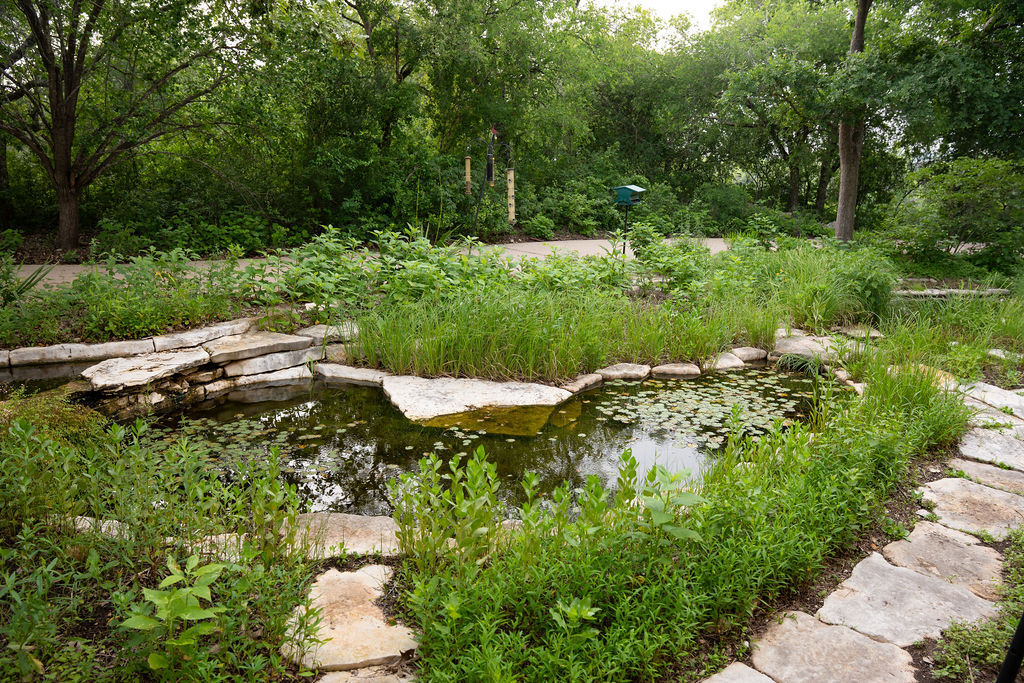 13800 Lone Rider Trail Austin, TX 78738 - Photo 4 of 27 a view of a lush green park