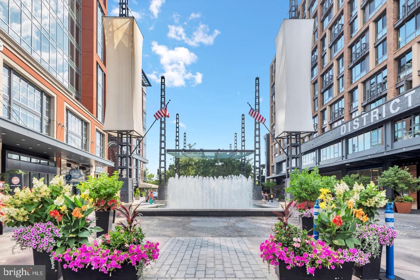 a view of street with flower