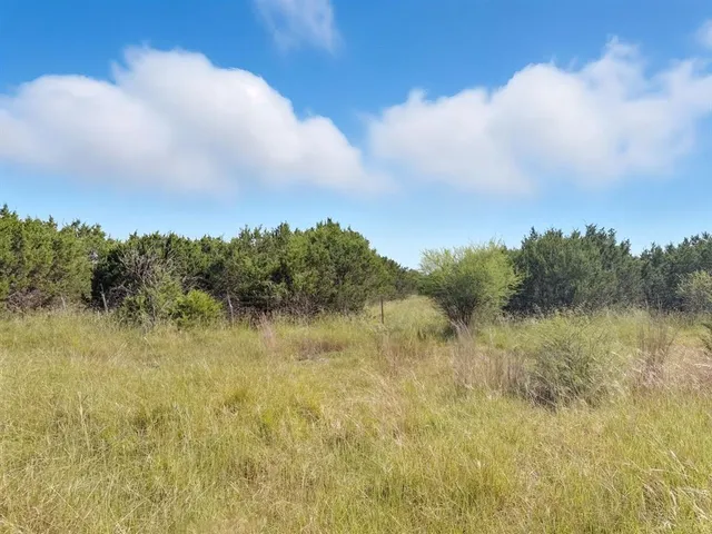 a view of a lake from a yard