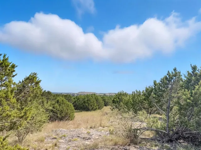 a view of mountain view with trees in the background