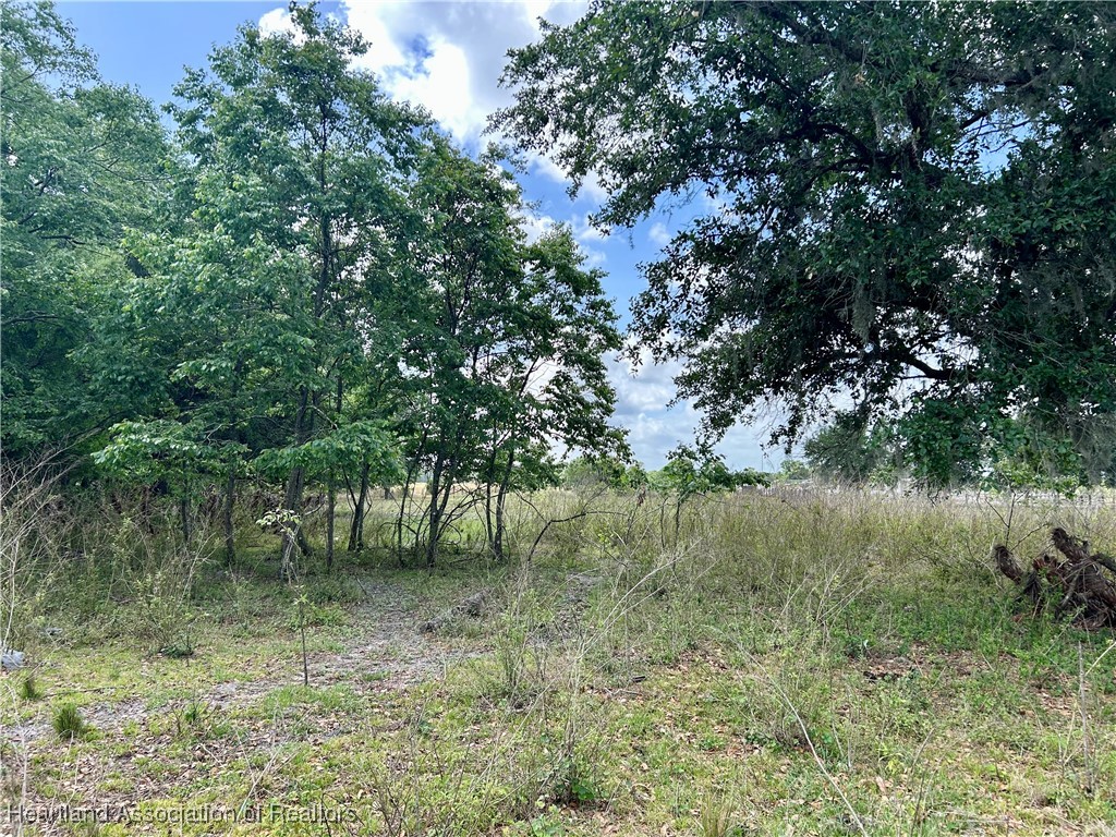 64 East State Road Zolfo Springs, FL 33890 - Photo 10 of 18 Gallery Image 10
