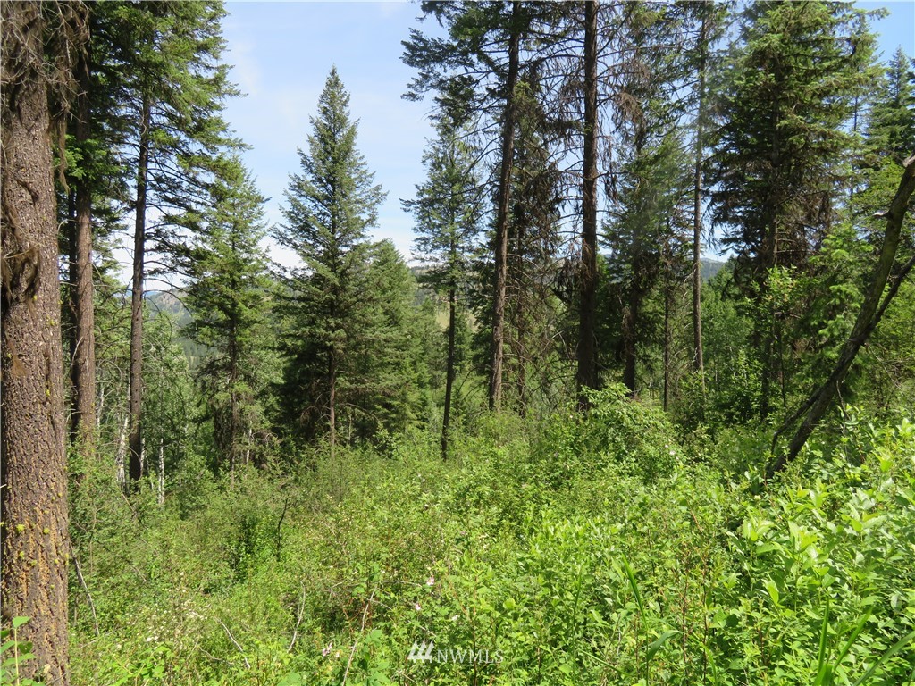 8 Boulder Creek Road Curlew, WA 99118 - Photo 12 of 13 Gallery Image 12