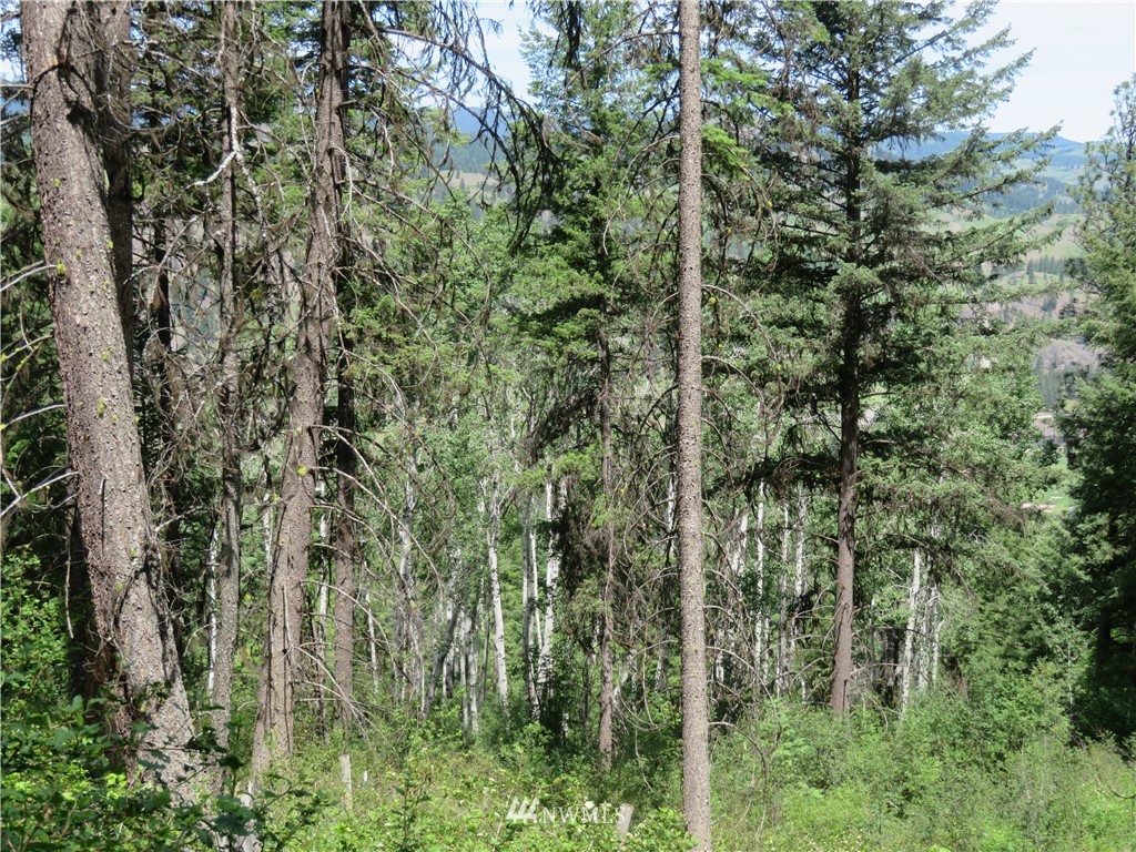 8 Boulder Creek Road Curlew, WA 99118 - Photo 13 of 13 Gallery Image 13