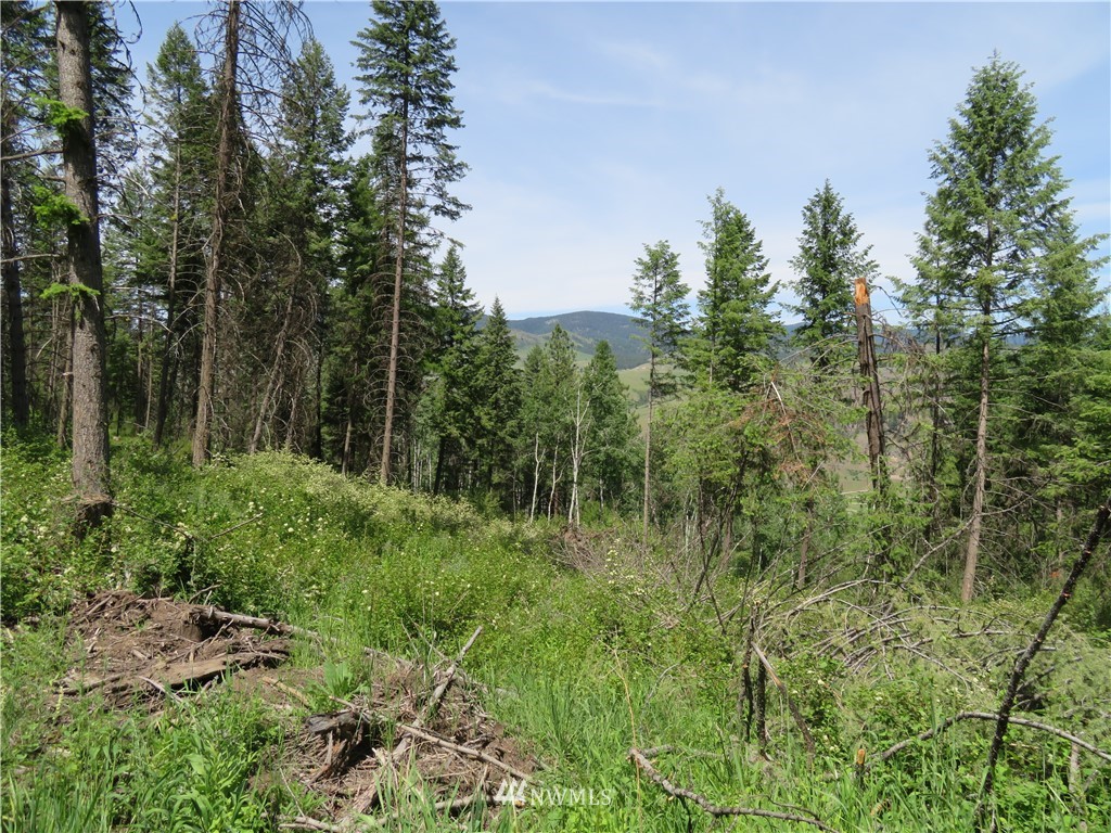 8 Boulder Creek Road Curlew, WA 99118 - Photo 8 of 13 Gallery Image 8