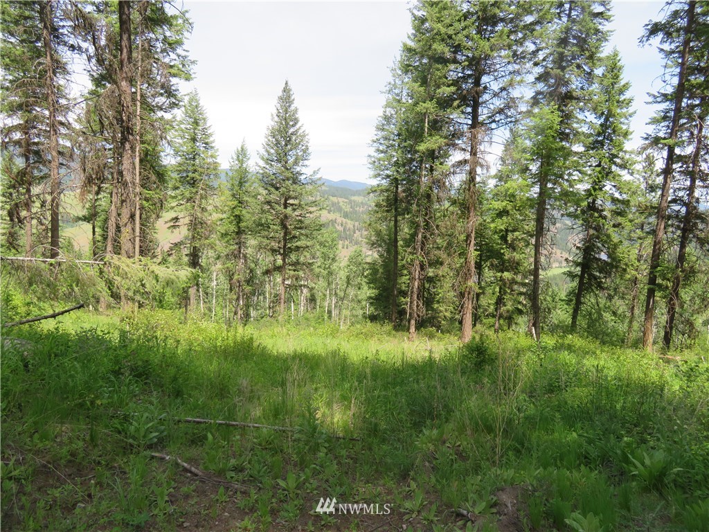 8 Boulder Creek Road Curlew, WA 99118 - Photo 9 of 13 Gallery Image 9