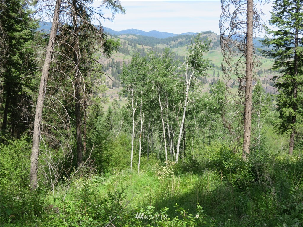 8 Boulder Creek Road Curlew, WA 99118 - Photo 10 of 13 Gallery Image 10