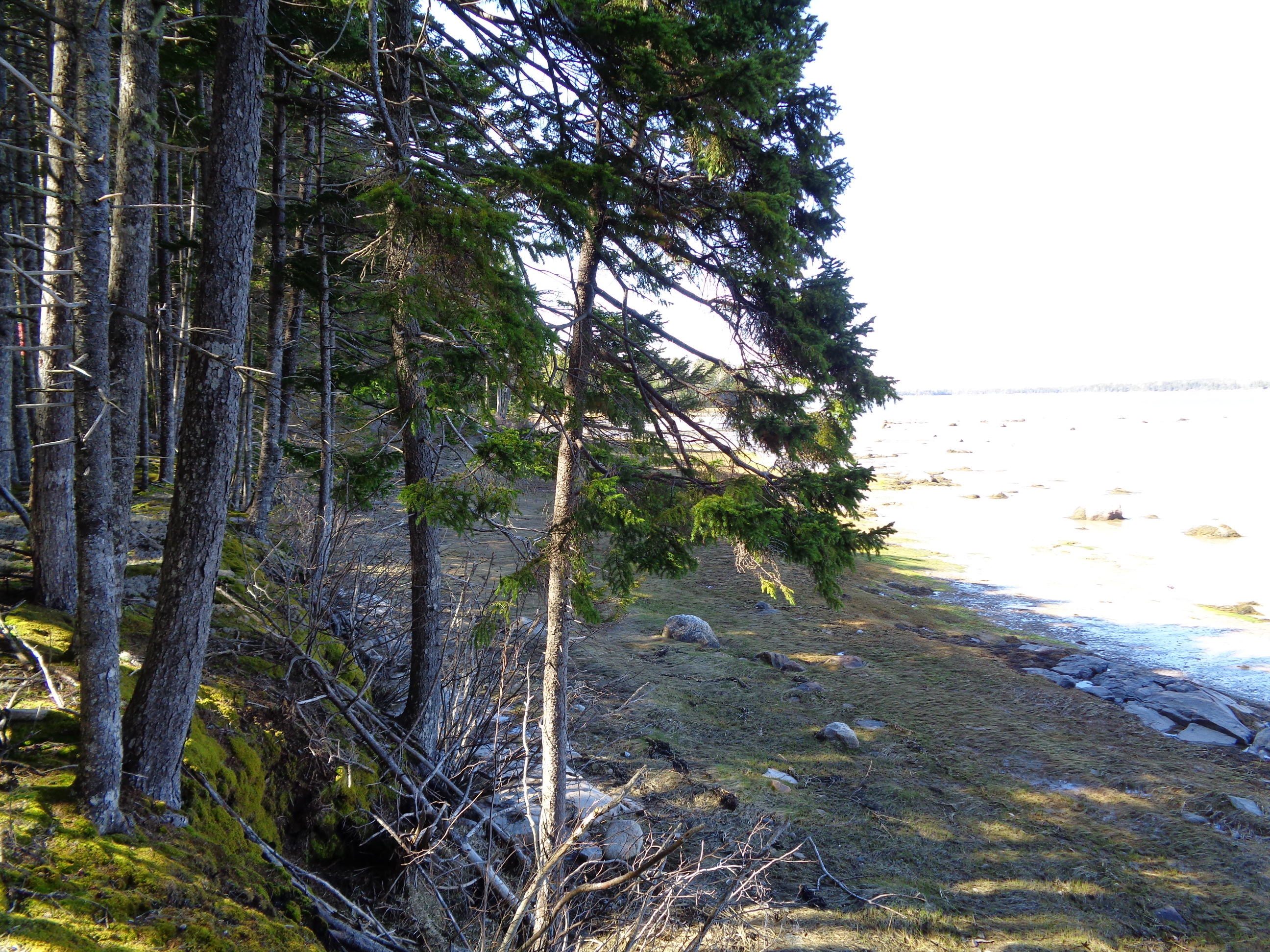 177 F Rays Point Road Milbridge, ME 04658 - Photo 8 of 14 DSC02933