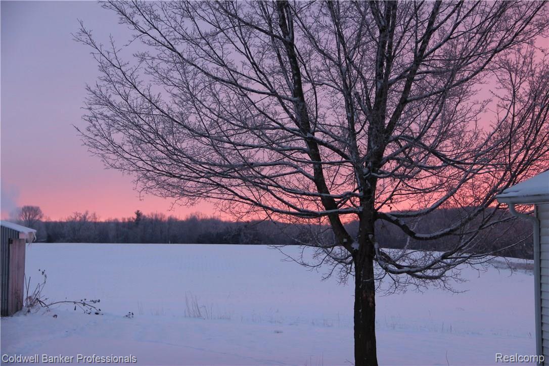 4286 Summers Road North Branch, MI 48461 - Photo 20 of 30 IMG_9991.JPG