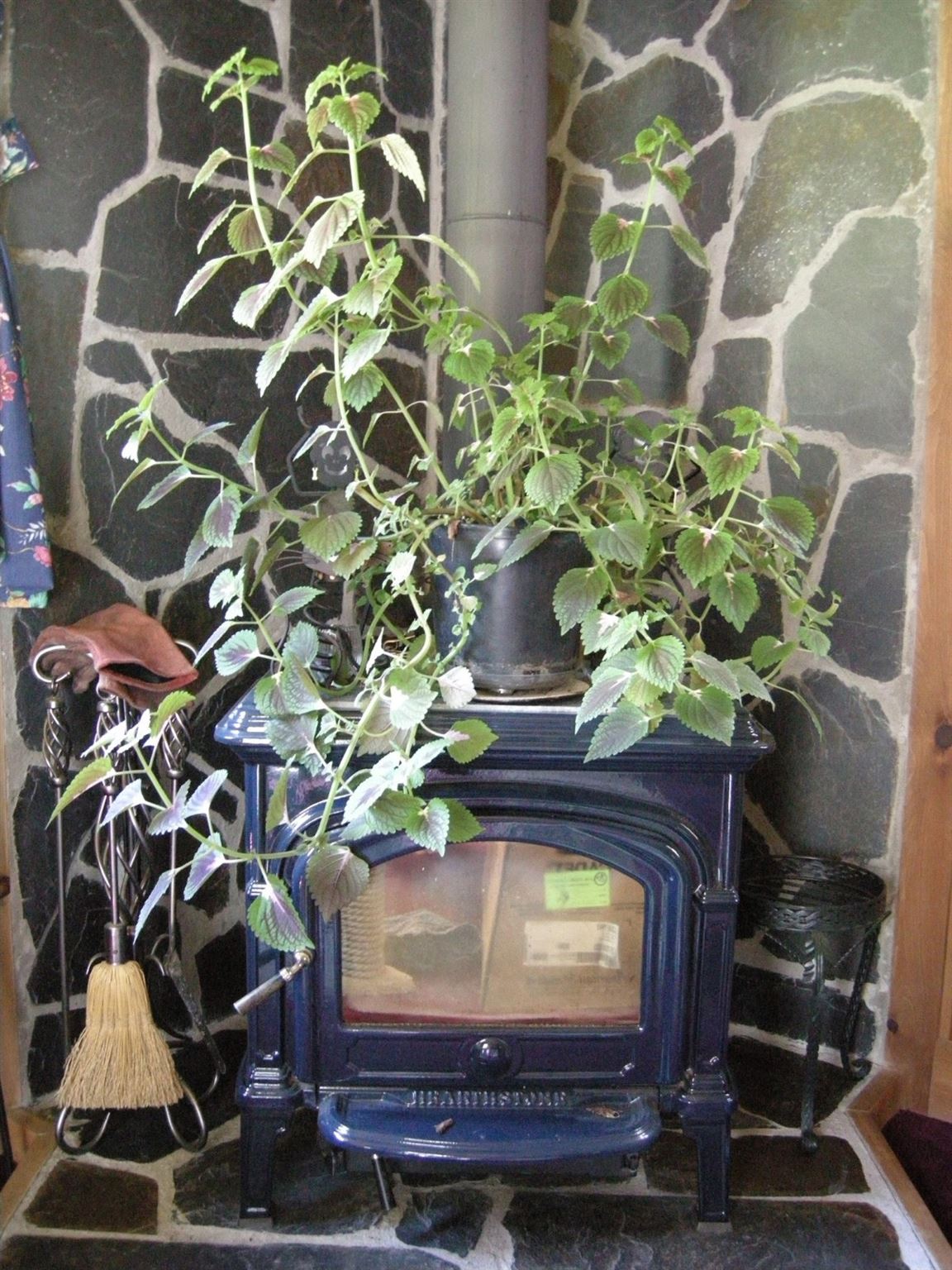 388 Messier Hill Road Northfield, VT 05663 - Photo 8 of 25