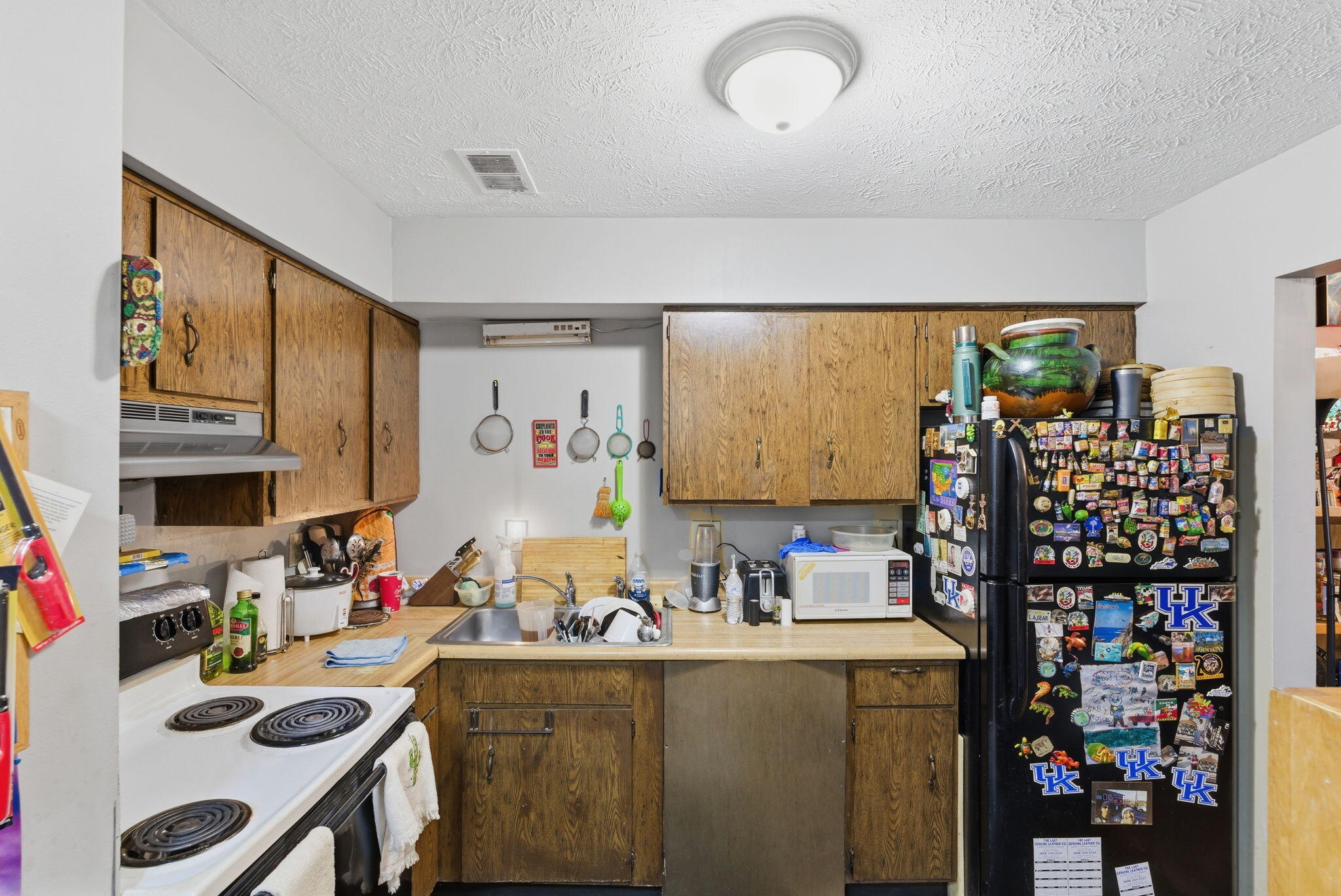 388 Redding Road Lexington, KY 40517 - Photo 15 of 96 29-web-or-mls-DSC09329