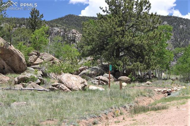 159 Emerald Way Lake George, CO 80827 - Photo 19 of 26 Gallery Image 19