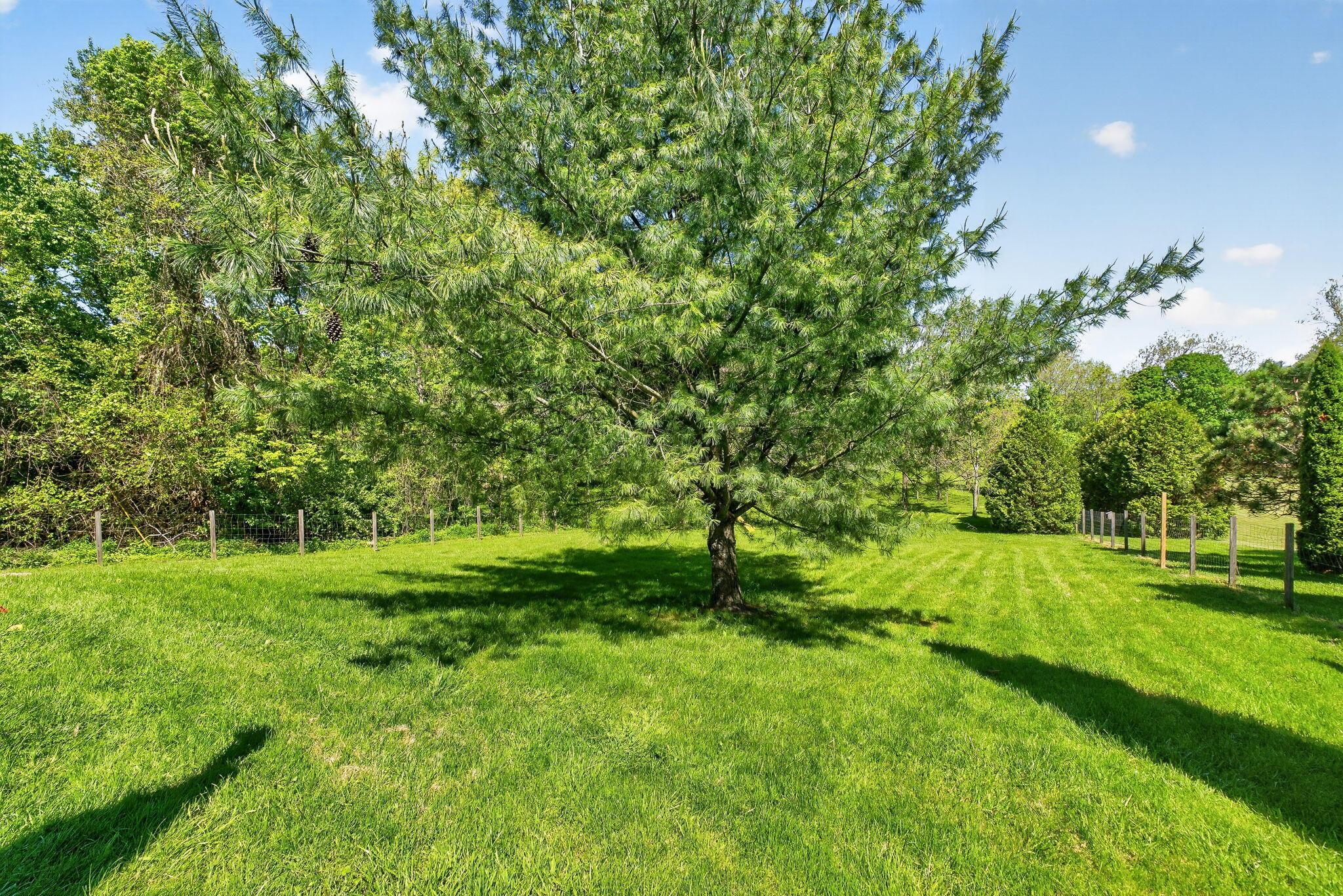8960 Mills Road Ostrander, OH 43061 - Photo 8 of 14