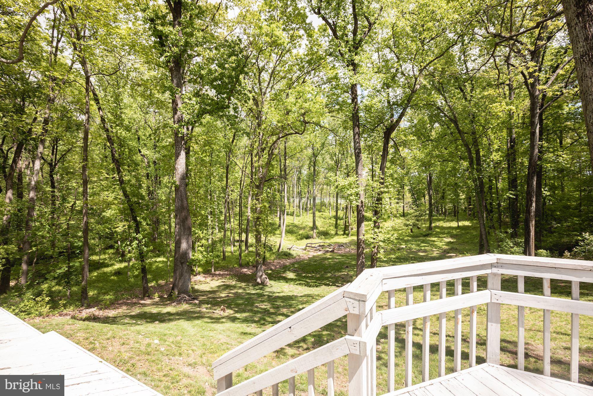 3755 Rectortown Road Marshall, VA 20115 - Photo 30 of 36 back patio leads to expansive acreage