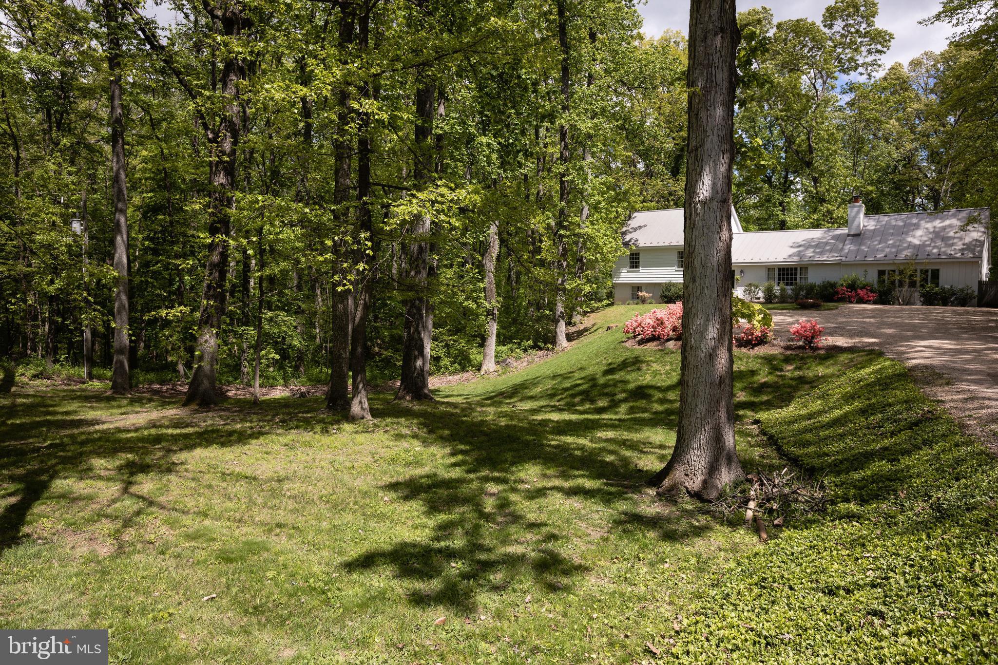 3755 Rectortown Road Marshall, VA 20115 - Photo 35 of 36 Arden's park-like front yard