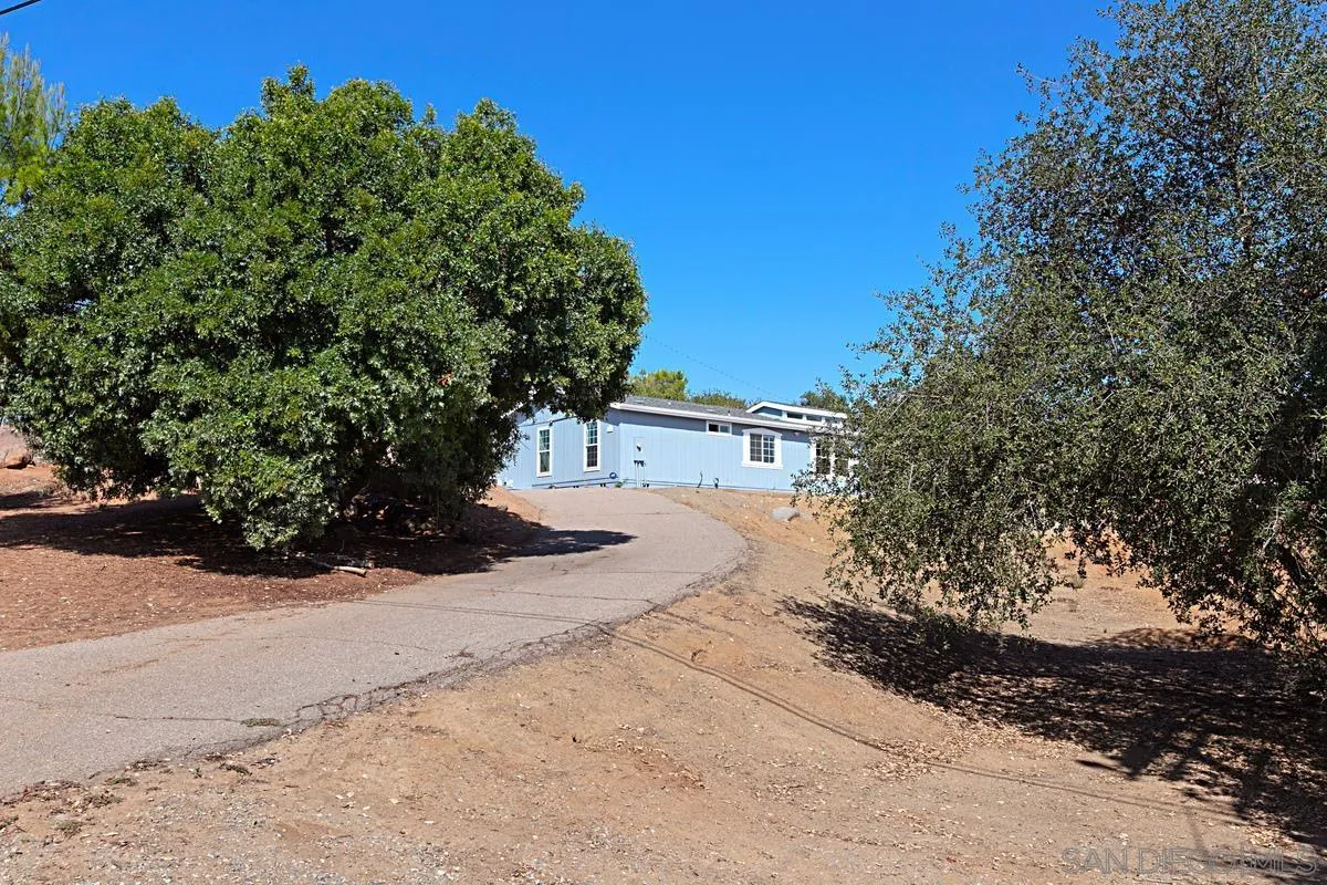 1064 Ranchito Vista Alpine, CA 91901 - Photo 7 of 31 a view of a yard with plants and trees