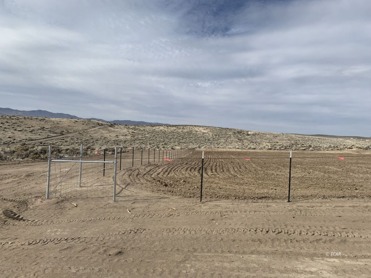 6675 Tyler Avenue Elko, NV 89801 - Photo 12 of 17