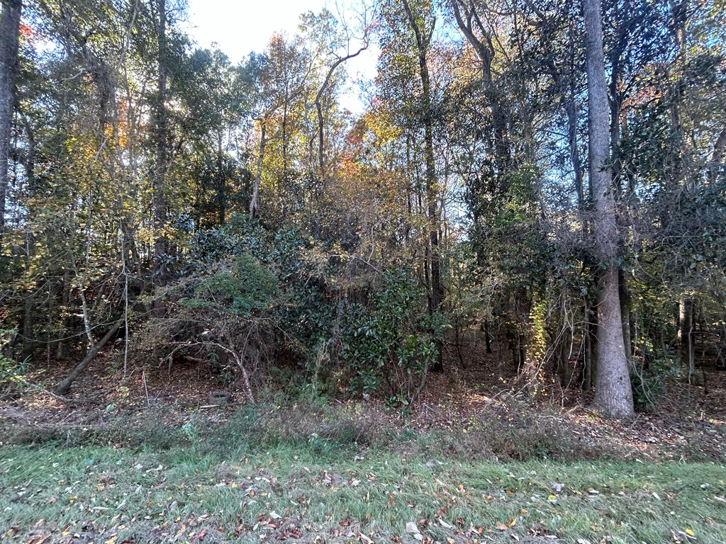 62/ Cty Road Coleman, GA 39836 - Photo 46 of 58