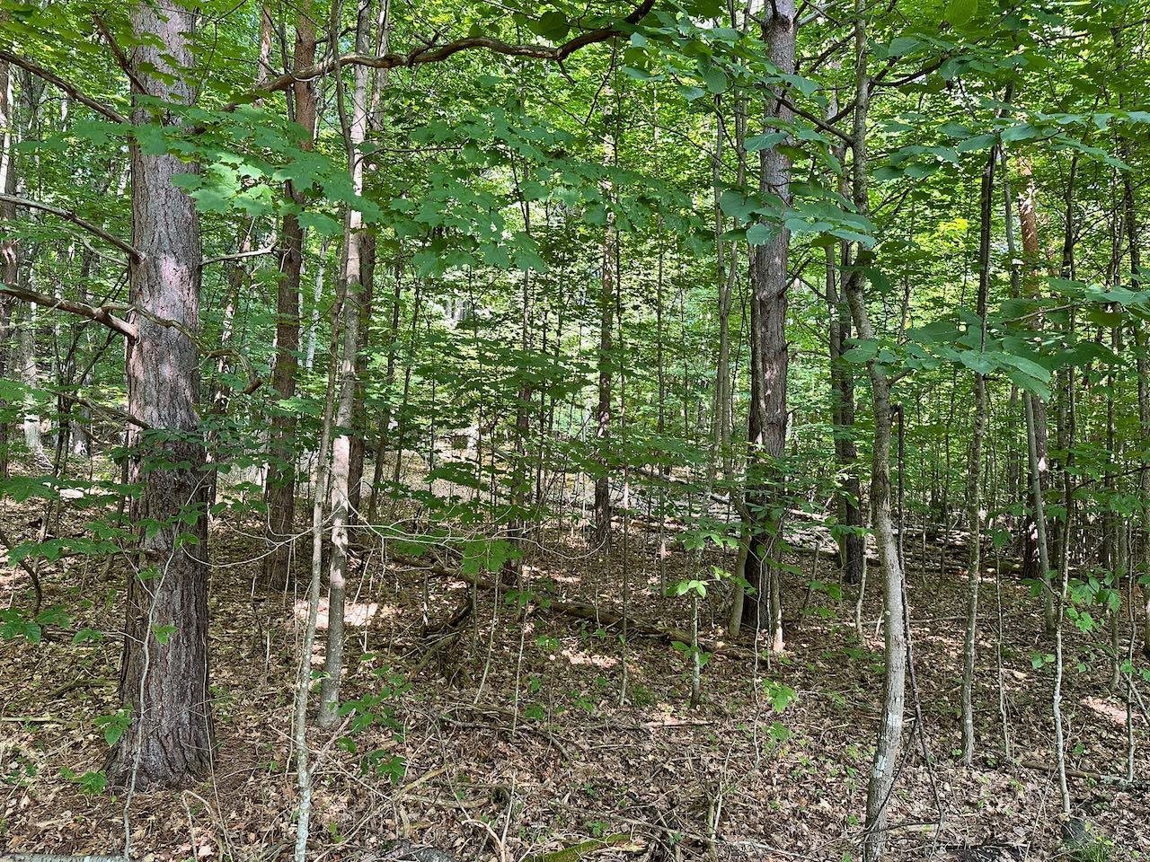 0 John R Rodgers Road Bellaire, MI 49615 - Photo 19 of 25