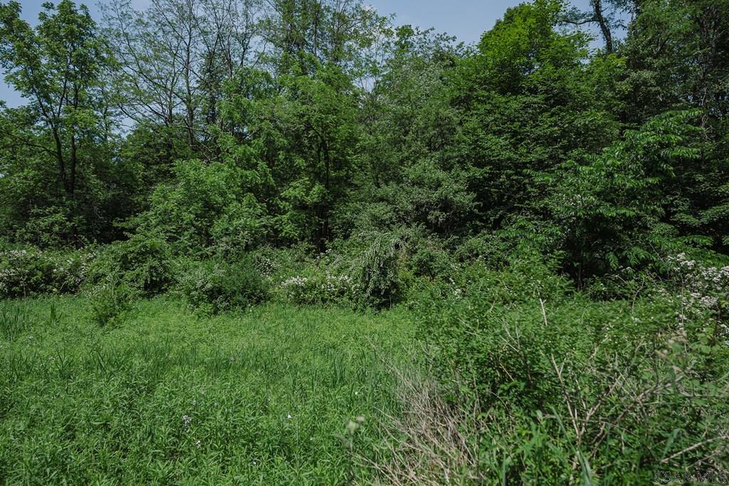 Kepple Road Johnstown, PA 15909 - Photo 9 of 14