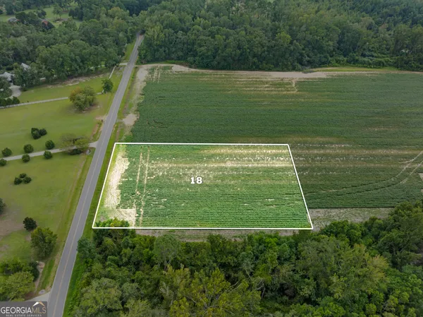 a view of a back yard