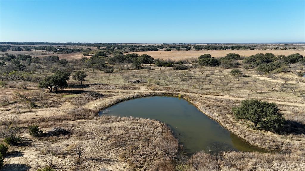 9455 County Road 189 Bangs, TX 76823 - Photo 12 of 40