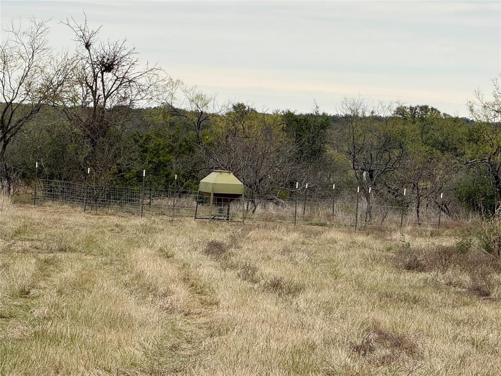 9455 County Road 189 Bangs, TX 76823 - Photo 14 of 40 a view of a yard