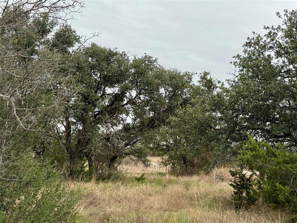 9455 County Road 189 Bangs, TX 76823 - Photo 15 of 40 a view of a yard