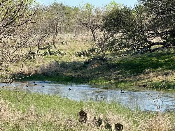 a view of swimming pool from a yard