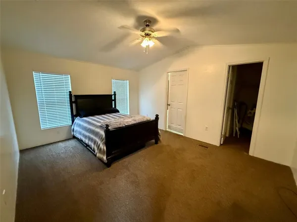 a view of a forest with trees