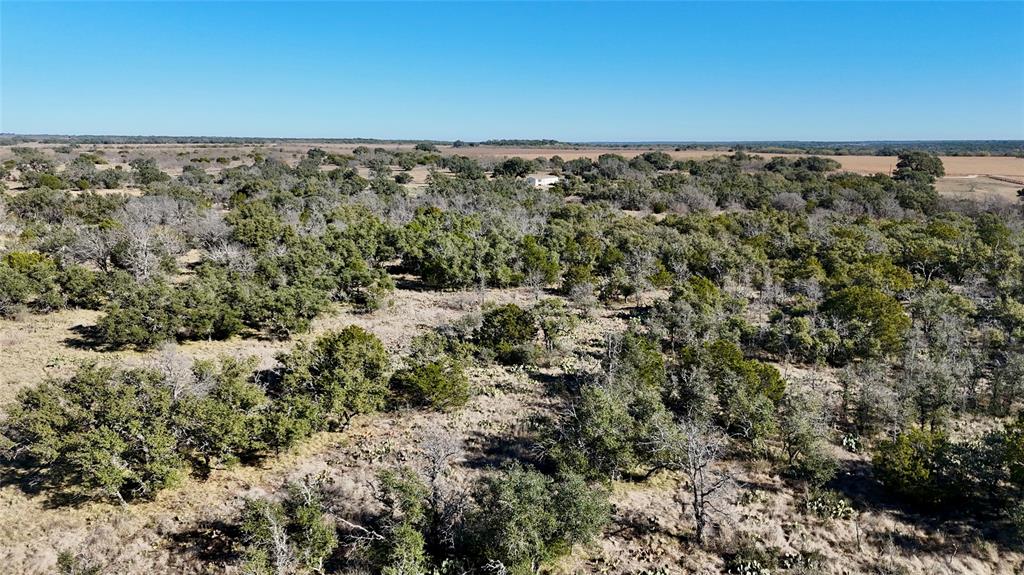 9455 County Road 189 Bangs, TX 76823 - Photo 28 of 40 a view of a green field