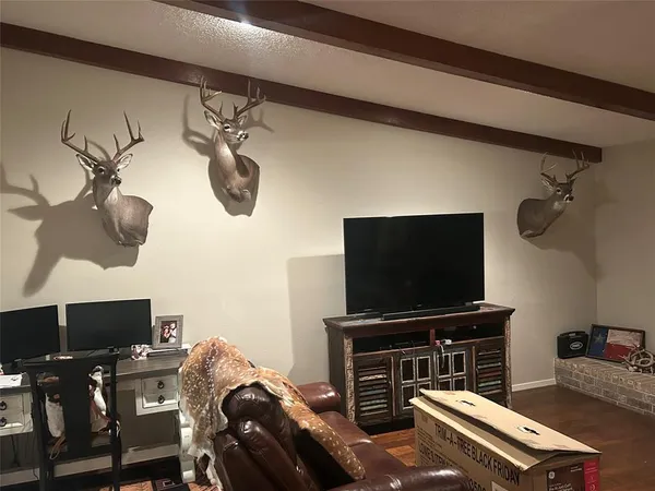a view of a field with trees in the background